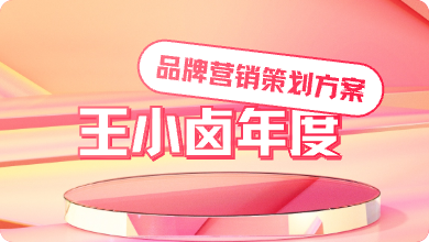 王小卤年度品牌营销策划方案