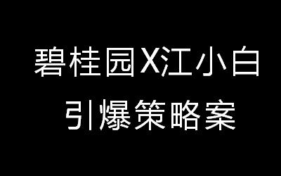 碧桂园与江小白引爆策略方案