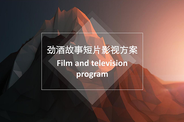 劲酒 故事短片影视方案