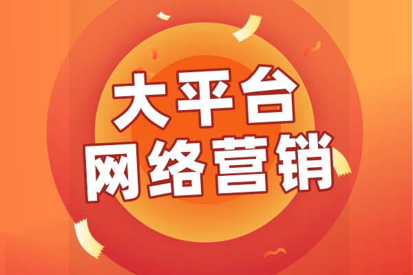 企业如何在大平台开展网络营销？