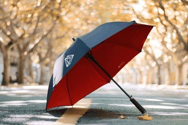 雨伞的软文图3