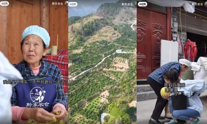 小红书上线健康等级图片3