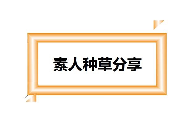 关于产品的软文图3