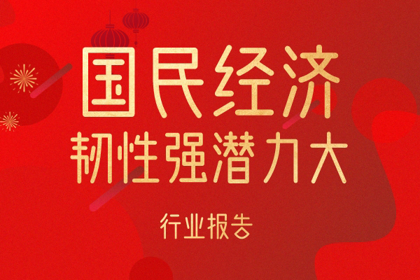 国民经济不确定性不稳定性有，但依旧韧性强、潜力大