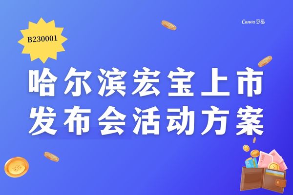 B230001 哈尔滨宏宝上市发布会活动方案