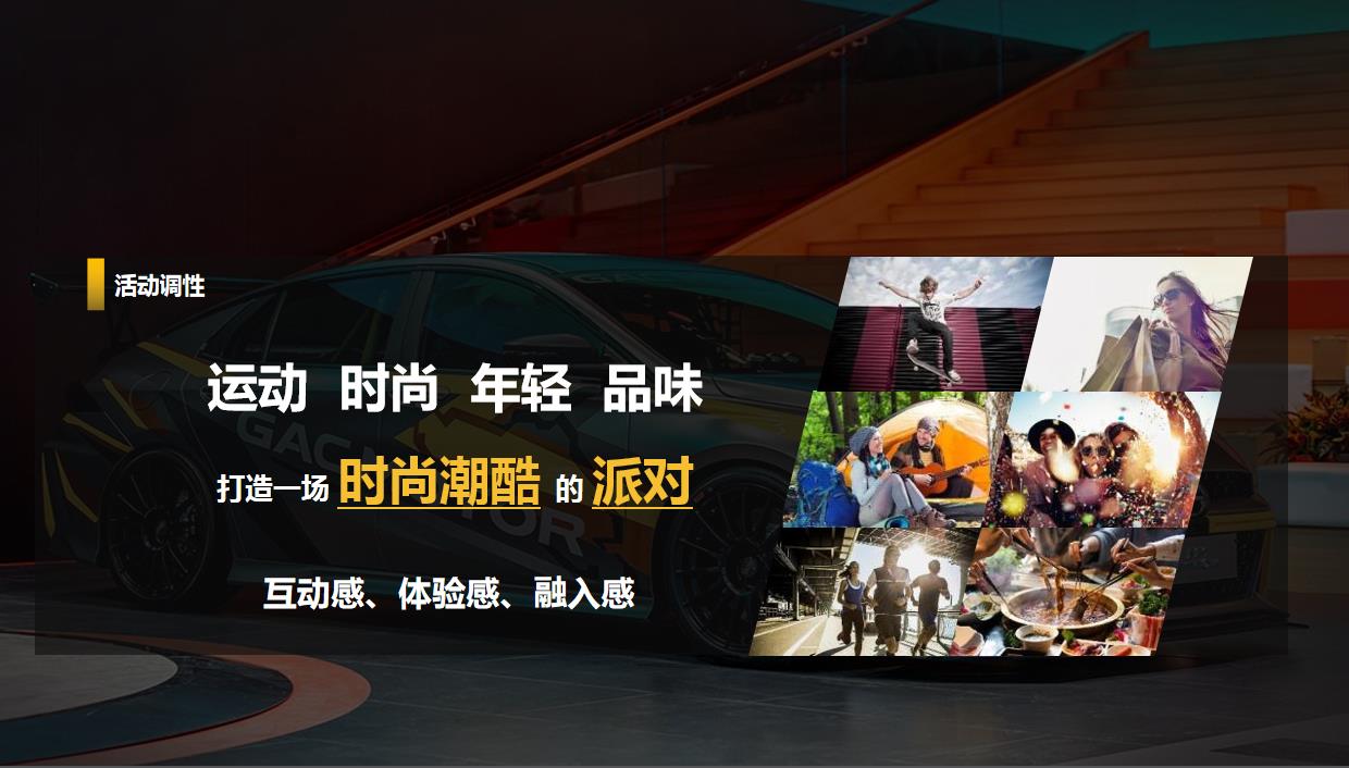 影豹图片2
