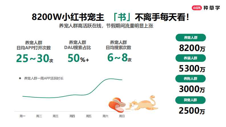 2025年小红书618宠物行业营销洞察策略建议-2