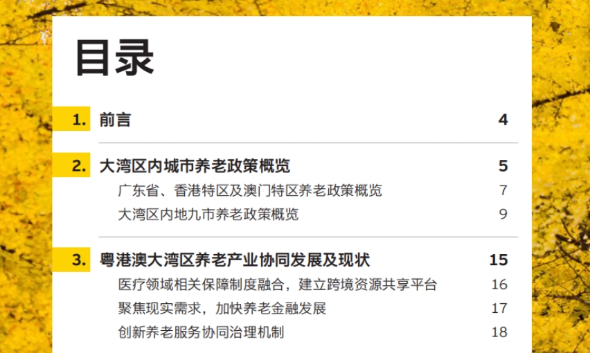 大湾区跨境养老的探索—2