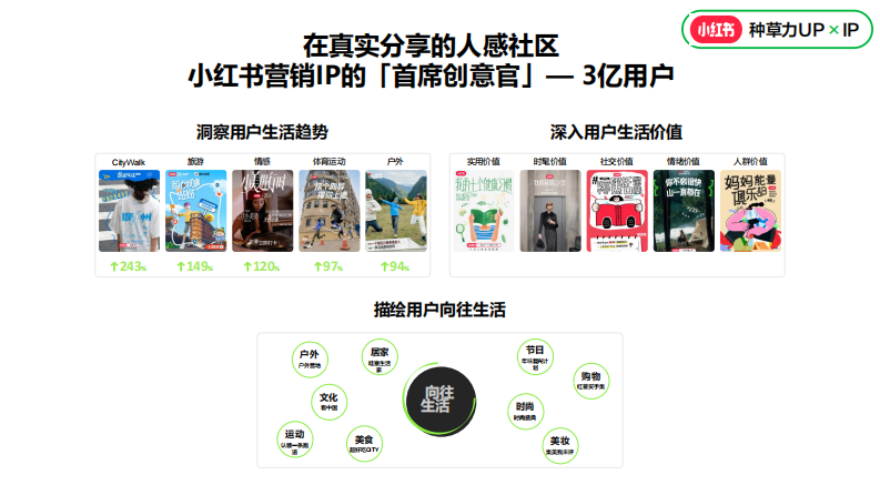 小红书营销IP指南-3