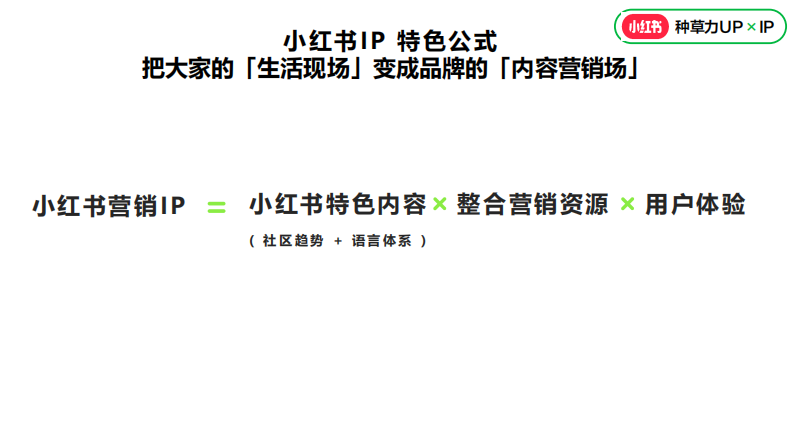 小红书营销IP指南-4